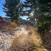 trails, winter