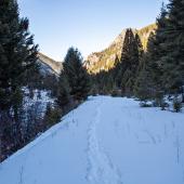 trails, winter, gallatin canyon, hiking