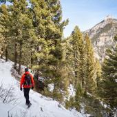 hiking, trails, winter, gallatin canyon