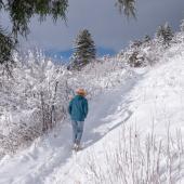 hiking, winter, trails, bozeman