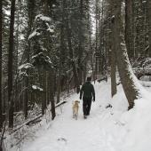hiking, bozeman, trails, winter