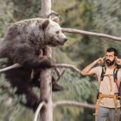 bear encounter bozeman montana