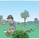 poop ethics trail etiquette