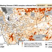 CWD, stalk hunting guide, chronic wasting disease, montana
