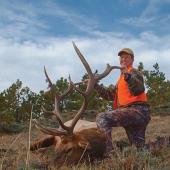 hunting, elk, montana, bozeman, big-game, randy newberg