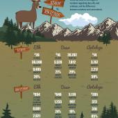 stalk hunting guide, montana