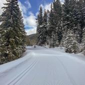 sourdough, groomed trails, nordic trails, cross country skiing, montana, bozeman