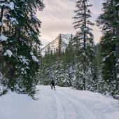 Hyalite Creek Trail Ski