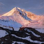 Lone Peak Alpenglow, Averi Iris, bozeman, montana, snowy mountains painting, western art