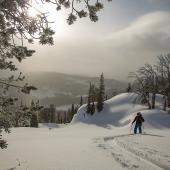 Skiing, Cooke City, backcountry, nordic skis, montana, bozeman