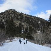 Stone Creek Road bridger canyon bozeman montana