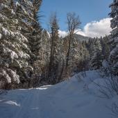 Bear Canyon Trail Winter