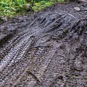 Bike tire tracks in mud, muddy trail