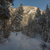 Bear Canyon Trail Winter