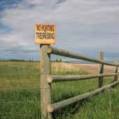 No Trespassing sign in field
