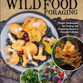 A guide to wild food foraging book