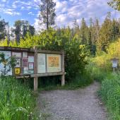 Chestnut Mountain Trail