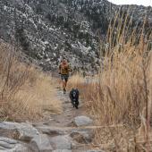 Trail running with dog Bear Trap Canyon