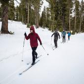 Crosscut Nordic skiing