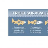 Trout Survival Rates Sticker