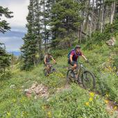 Biking Lionhead