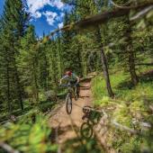 Biking Mountains to Meadows