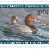 Duck stamp 2022-23