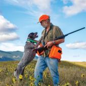 Hunting dog and man