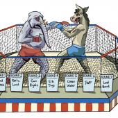 Political roundup Montana november 2024
