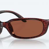 costa brine sunglasses