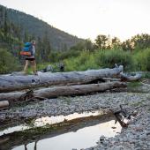 backpacking crossing log