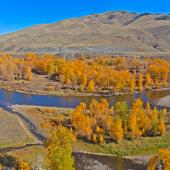 Big Hole river in autumn
