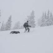 ski touring with dog