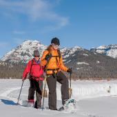 snowshoeing yellowstone
