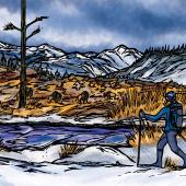 snowshoeing illustration