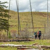 backpacking yellowstone
