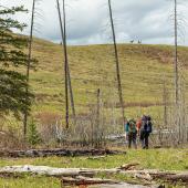 backpacking yellowstone