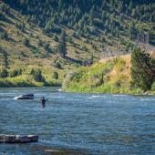bear trap wade fishing