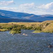 upper madison fly fishing