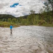 Fishing rock creek