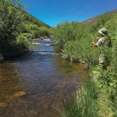 small mountain creek fishing