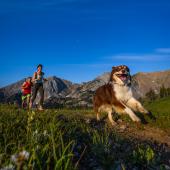 Trail running with dog