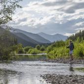 Fly fishing on the banks of the Middle Fork of the Flathead