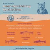 Understanding Hoot Owl Restrictions
