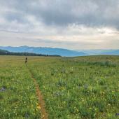 Biking Yellow Mule