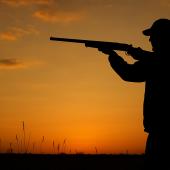bird hunter sunset