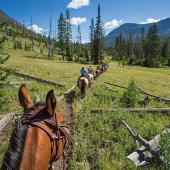 horseback riding Montana Absaroka Beartooth Outfitters fishing