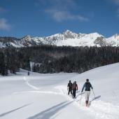Beehive Basin