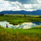 Ruby River