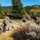 Pipestone, biking, Montana trails, outside bozeman